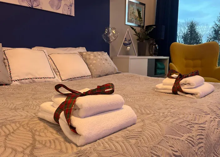 Sas & Spa Apartament
