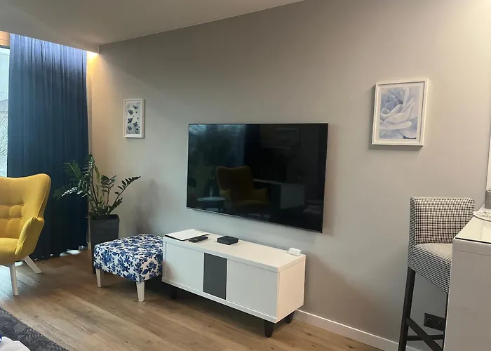 Sas & Spa Apartament